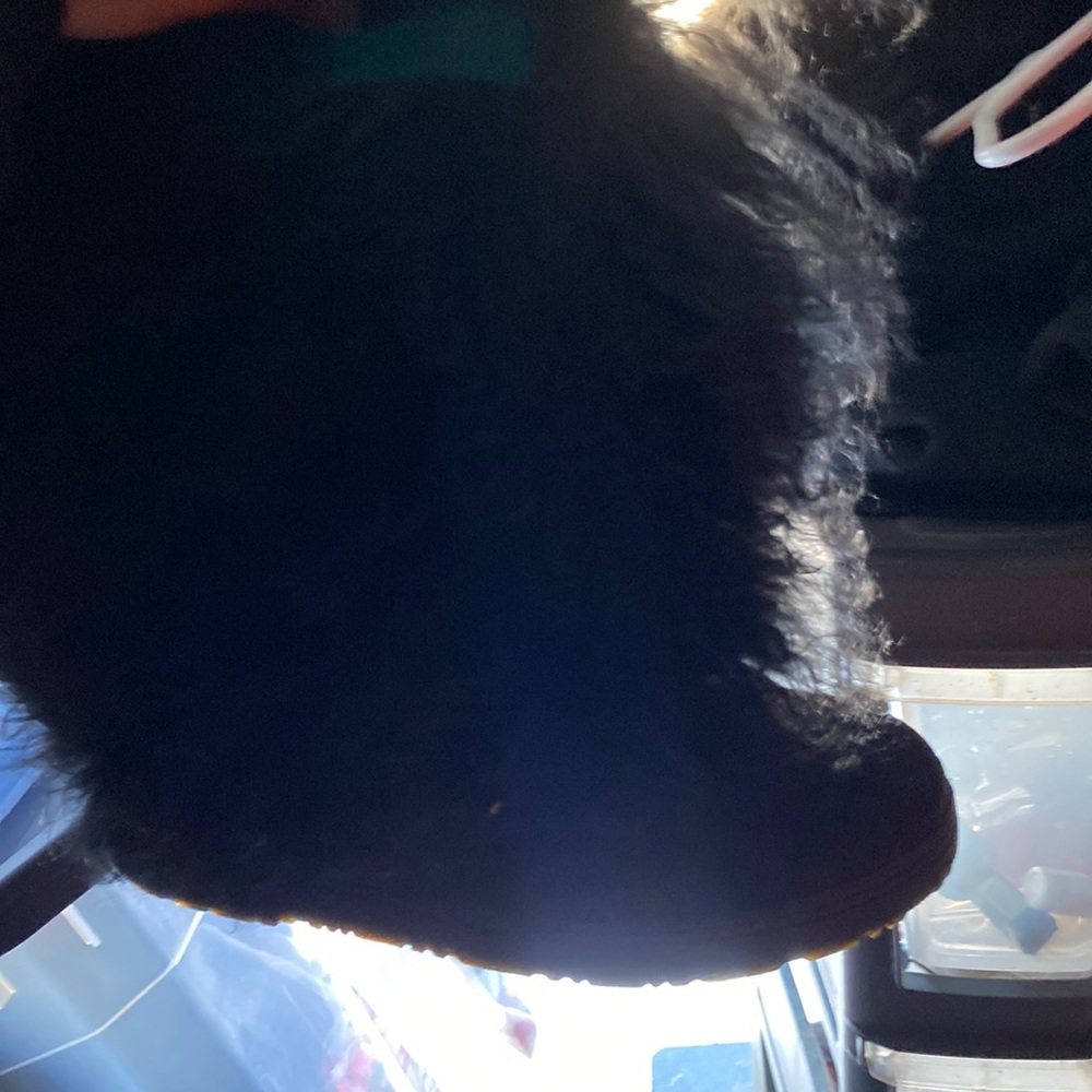 Bear paws